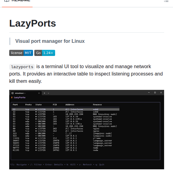 LazyPorts