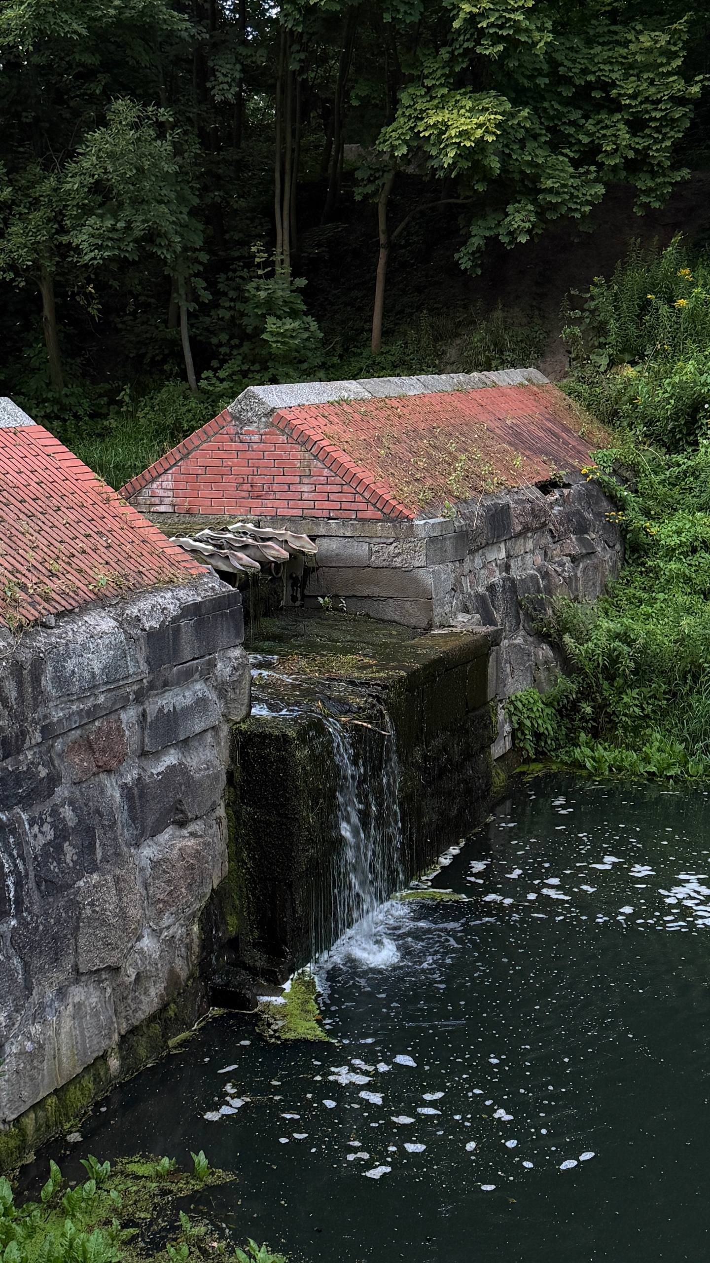 Пост из Telegram