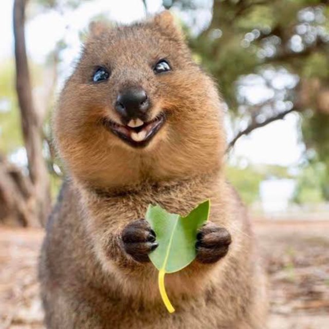 Мне не раз приходила в голову мысль, что для быстрой раскрутки нужно уходить в видео на запрещенных...