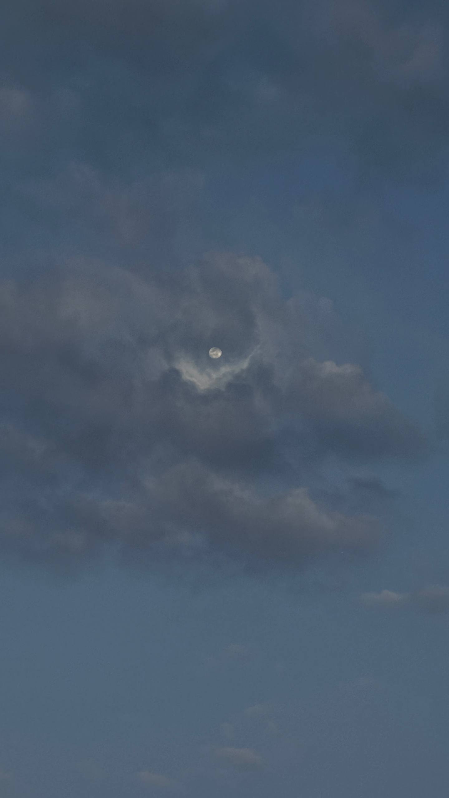 Изображение 2 из Telegram поста