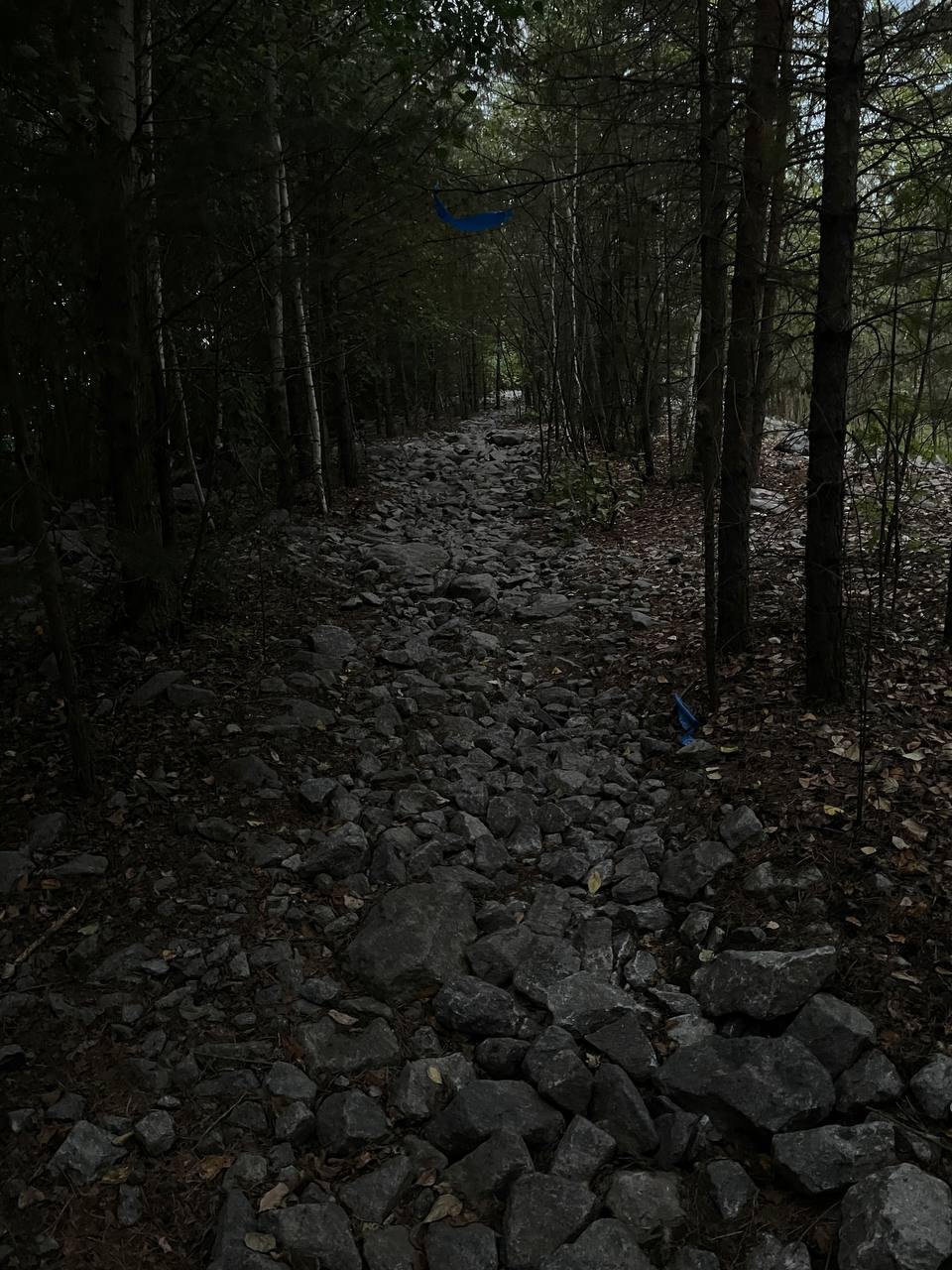 Пост из Telegram