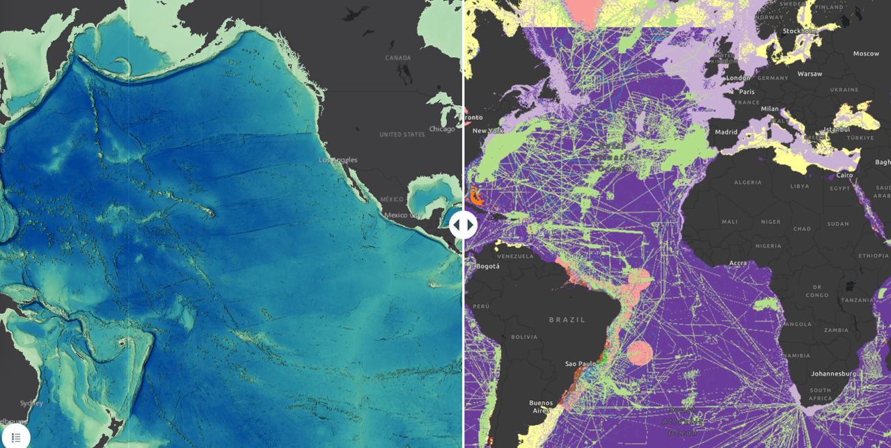 Наиболее авторитетные и общедоступные топографические карты делает проект...